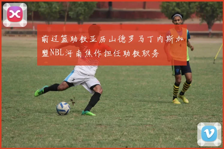 前辽篮助教亚历山德罗马丁内斯加盟NBL河南焦作担任助教职务