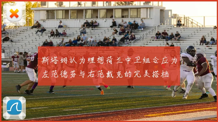 斯塔姆认为理想荷兰中卫组合应为左范德芬与右范戴克的完美搭档