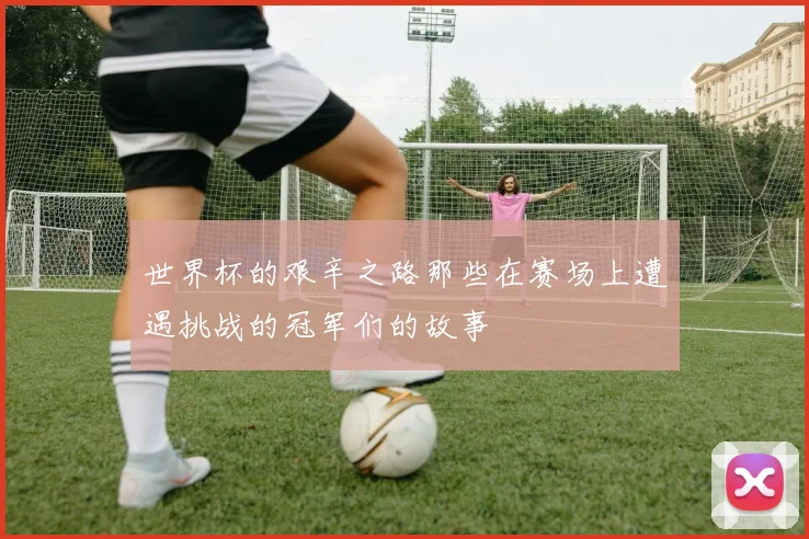 世界杯的艰辛之路那些在赛场上遭遇挑战的冠军们的故事